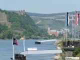 Bild zu: AmRhein_011