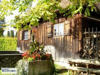 Bild zu: Schuppen für alle Gelegenheiten